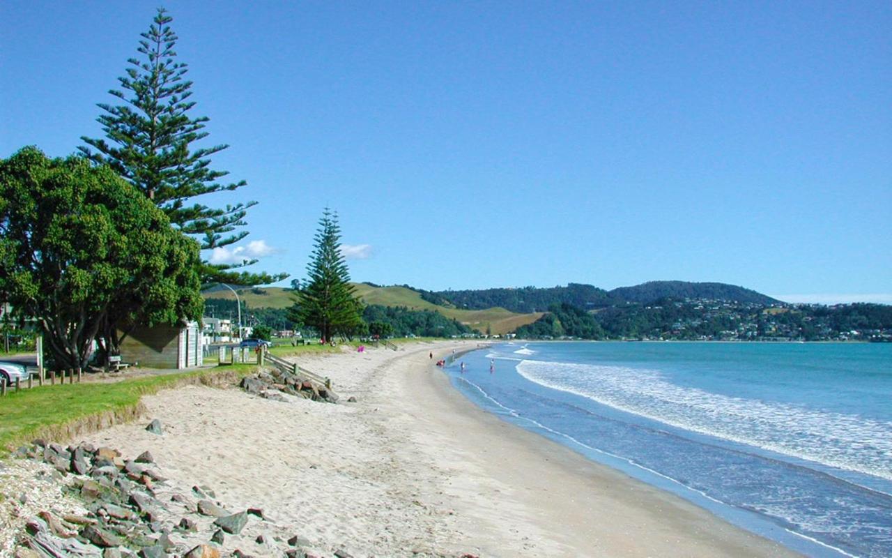 Pensjonat Aquila Haven Whitianga Zewnętrze zdjęcie