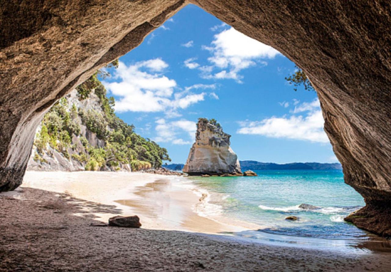 Pensjonat Aquila Haven Whitianga Zewnętrze zdjęcie